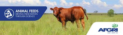 Home - AFGRI Animal Feeds - feed manufacturer