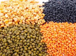 Vegetable seeds manufacturers, wholesalers and exporters - Agro Info Mart - seeds manufacturer
