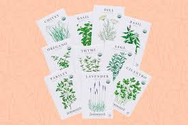 The 12 Best Places to Buy Seeds Online in 2025 - Better Homes & Gardens - seeds manufacturer