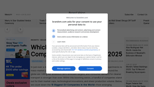 Which Electric Vehicle Companies Are Leading In 2025 - electric car manufacturer
