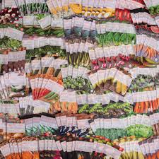 Bulk Seeds | Flower, Vegetable & Herb Seeds | Bulk Seed Store - seeds manufacturer