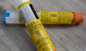 Mylan Laboratories Inc. -- Company History - drug manufacturer mylan