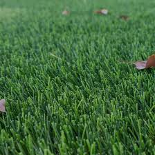 Artificial Grass Manufacturer In India | Artificial Grass Manufacturing ... - artificial grass manufacturer
