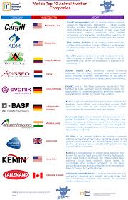 Top 10 Animal Feed Producers: Global Leaders & Impact - feed manufacturer