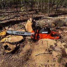 Best Chainsaw Brands 2025 - Forestry.com - Forestry Editorial - echo chainsaw manufacturer