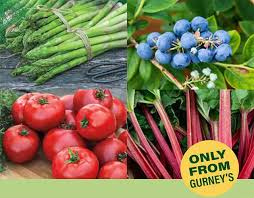 Gurney's - America's Most Complete Seed and Nursery - seeds manufacturer