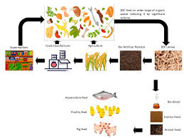 Intofeed Animal Feed - feed manufacturer