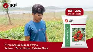 India's Largest agriculture seeds company - ispseeds - seeds manufacturer
