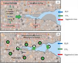 Chemical-based self-healing concrete: a review - Springer - largest manufacturer of self healing concrete
