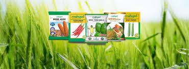 Mahyco Private Limited - seeds manufacturer