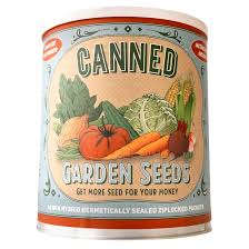 Vegetable Seeds and Chilli Seeds Manufacturer | Mansoon Seeds Private ... - seeds manufacturer