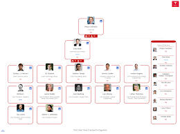 Tesla's Organizational Structure [Interactive Chart] | Organimi - manufacturer of tesla