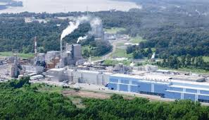 Phoenix Paper | High Quality Sustainable Paper Production - paper manufacturer