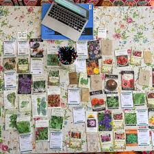 Top 15 Seed Companies in the USA - redridgefarm.org - seeds manufacturer