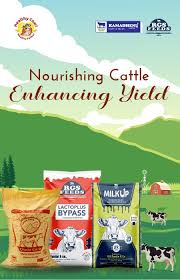 Home - RGS Feeds - feed manufacturer