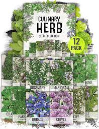 Seed Needs LLC - Quality Flower Seeds, Herb Seeds and Vegetable Seeds - seeds manufacturer