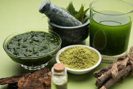Shaleen Pharmaceuticals | Ayurvedic Medicine Manufacturers in India - manufacturer of ayurvedic medicine