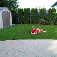 Smart Turf® Artificial Grass | Manufactured with Microban® to stop ... - artificial grass manufacturer