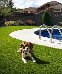 Artificial Grass Never Looked More Natural | Artificial Turf by SYNLawn - artificial grass manufacturer