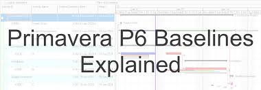 Primavera P6 Baselines Explained - Ten Six - Ten Six Consulting - bl1 manufacturer definition