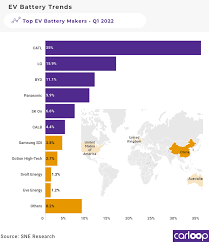 Tesla's key battery supplier remains top of global list in 2022 - manufacturer of tesla