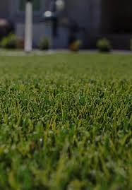 XGrass | Best Artificial Grass Supplier | American Made Turf - artificial grass manufacturer