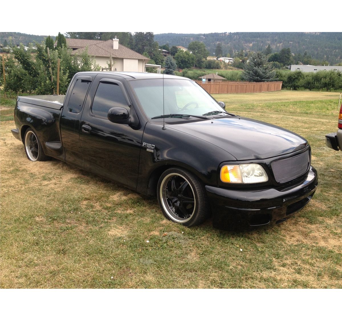 A relevant stock photo of 1999 ford f150 custom in a typical setting.