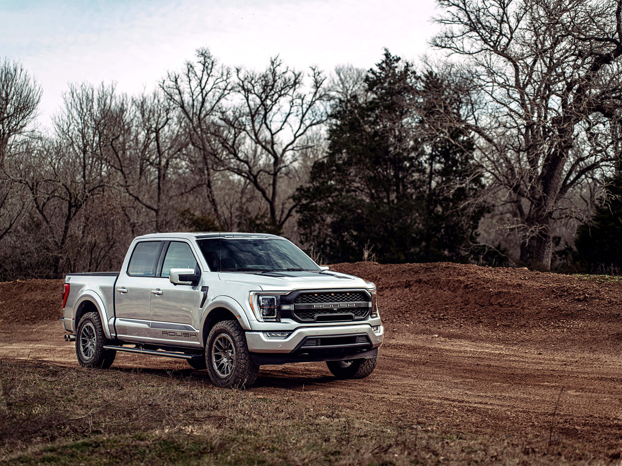 A relevant stock photo of 2022 f150 custom in a typical setting.