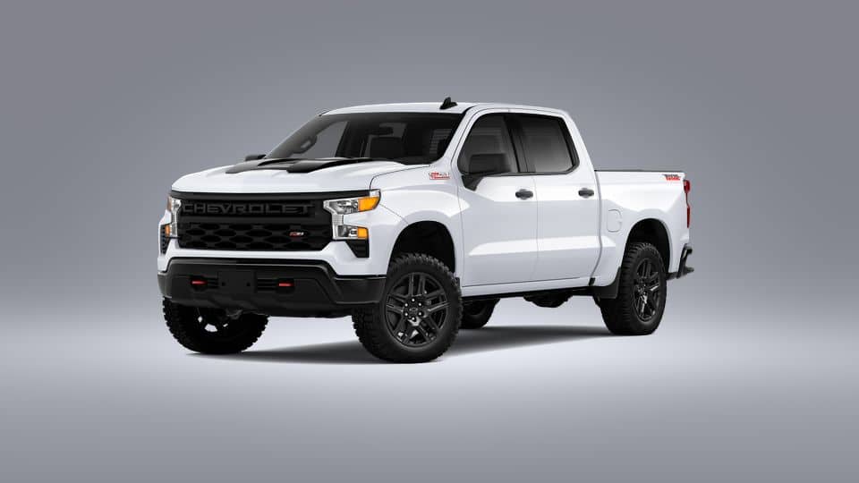 A relevant stock photo of 2023 chevrolet silverado 1500 custom in a typical setting.