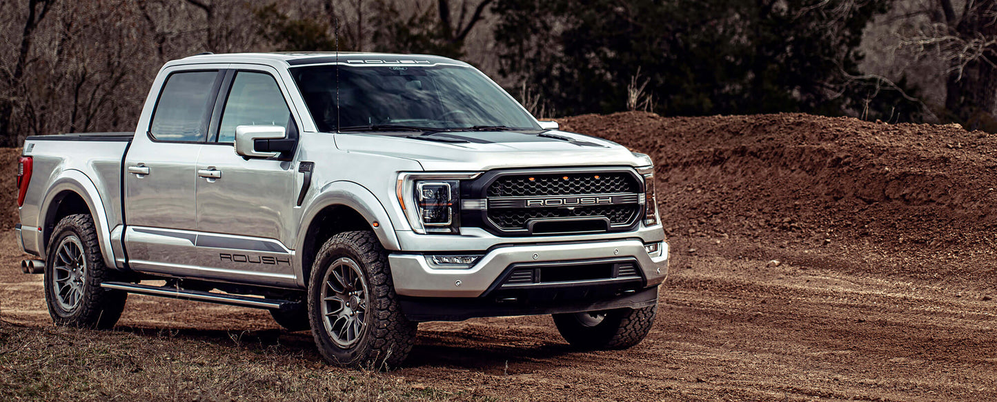 A relevant stock photo of 2023 f150 custom in a typical setting.