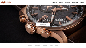 3 Wells - watch manufacturer