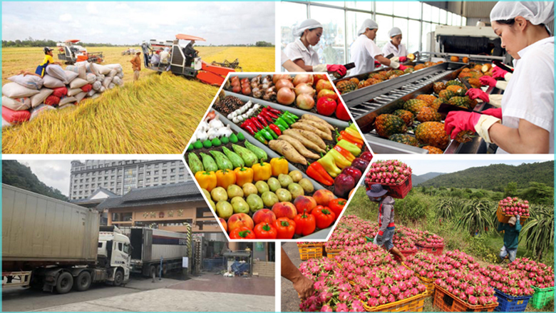 A relevant stock photo of agricultural products china in a typical setting.