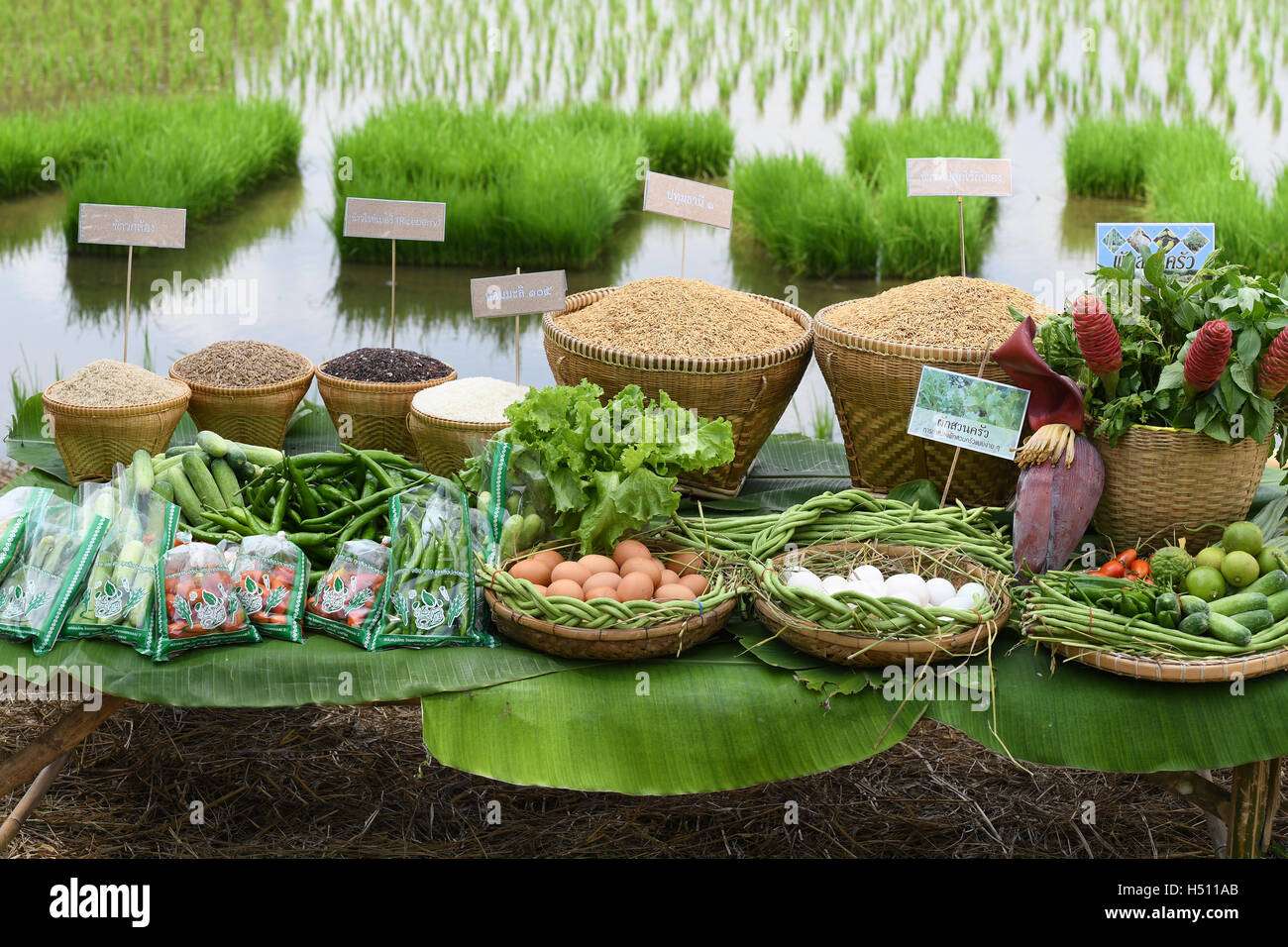 A relevant stock photo of agricultural products supplier in a typical setting.
