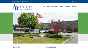 Specialty Silicone Raw Material Manufacturer and Distributor - silicone manufacturer