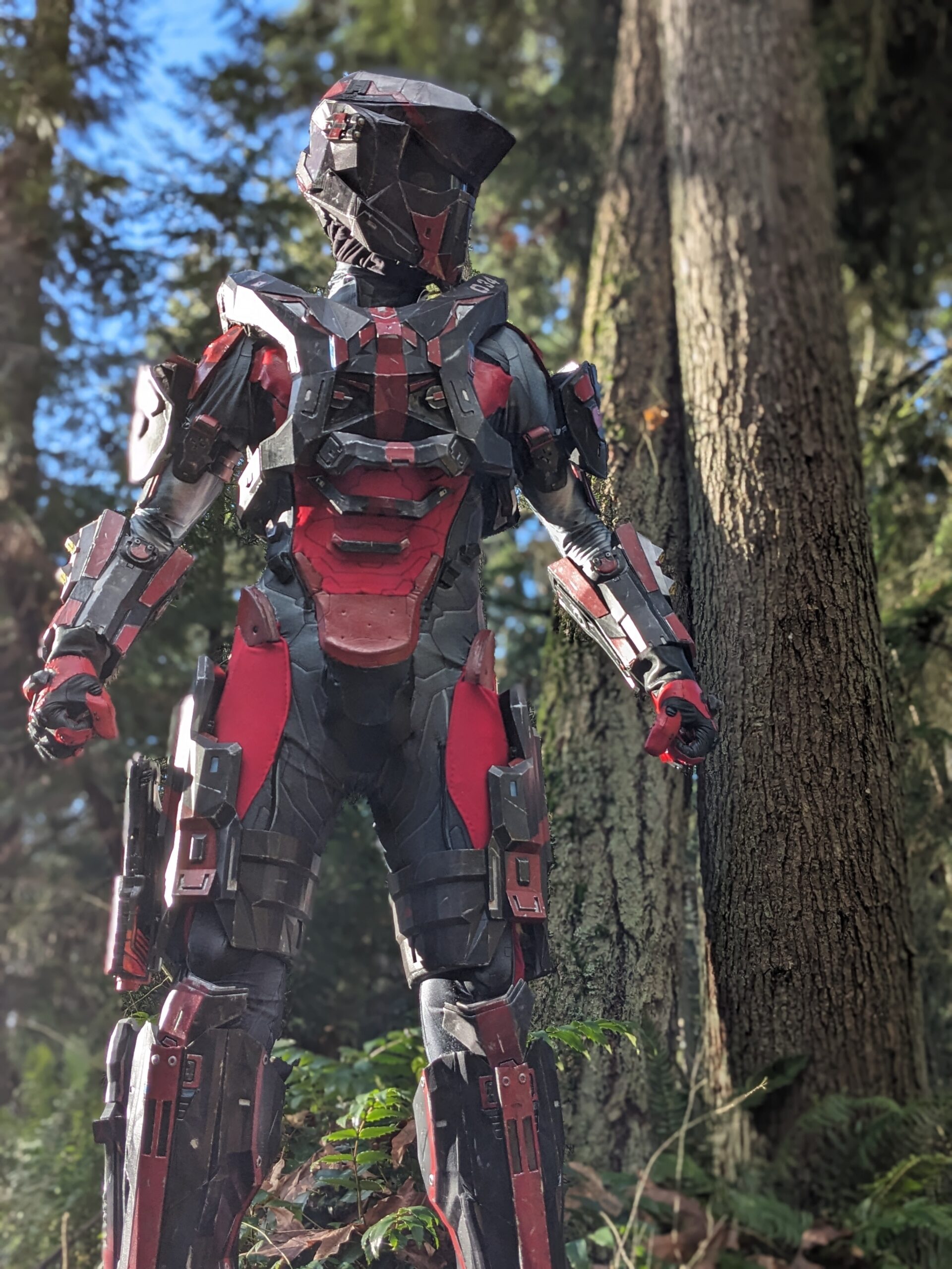 A relevant stock photo of armor custom in a typical setting.