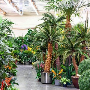 A relevant stock photo of artificial plants china in a typical setting.