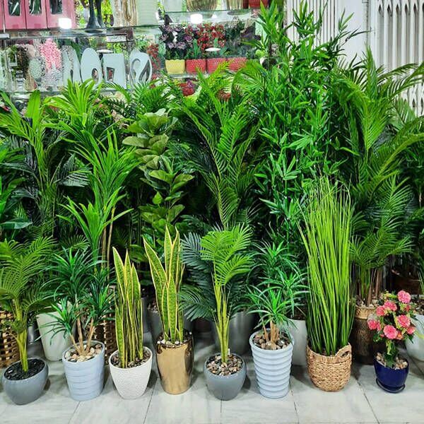 A relevant stock photo of artificial plants supplier in a typical setting.