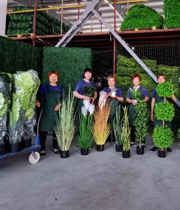 A relevant stock photo of artificial plants supplier in a typical setting.