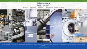 Babcock Valves - A leading European valve manufacturer since 1967 - check valve manufacturer