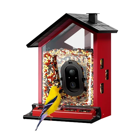 A relevant stock photo of bird feeder manufacturer in a typical setting.