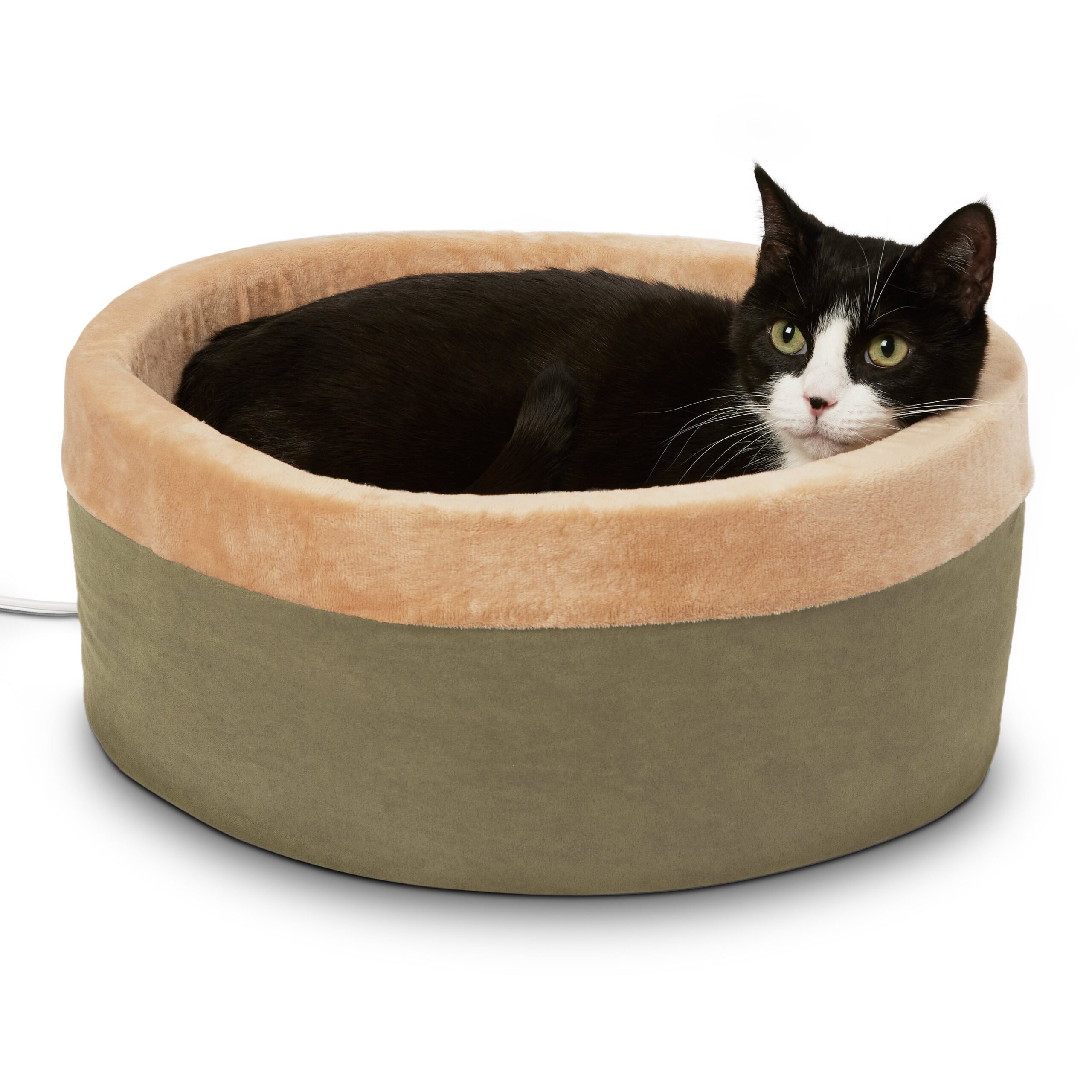 A relevant stock photo of cat bed manufacturer in a typical setting.