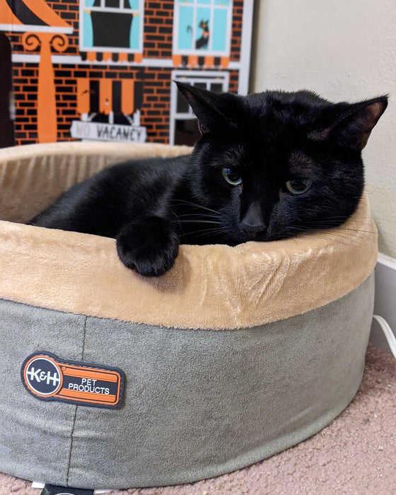 A relevant stock photo of cat bed manufacturer in a typical setting.