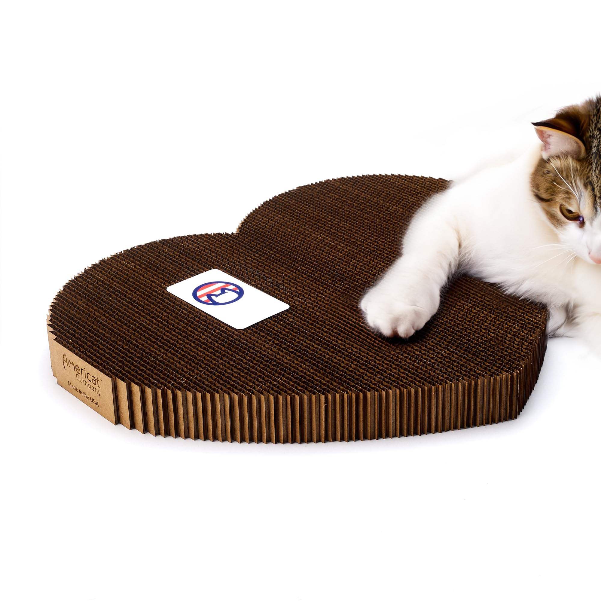 A relevant stock photo of cat scratcher manufacturer in a typical setting.