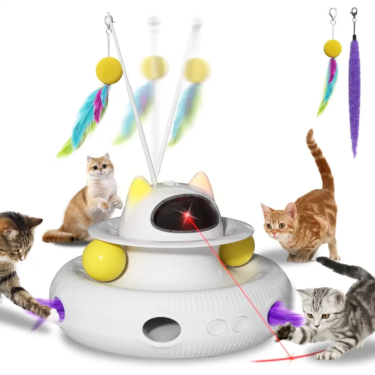 A relevant stock photo of cat toys supplier in a typical setting.