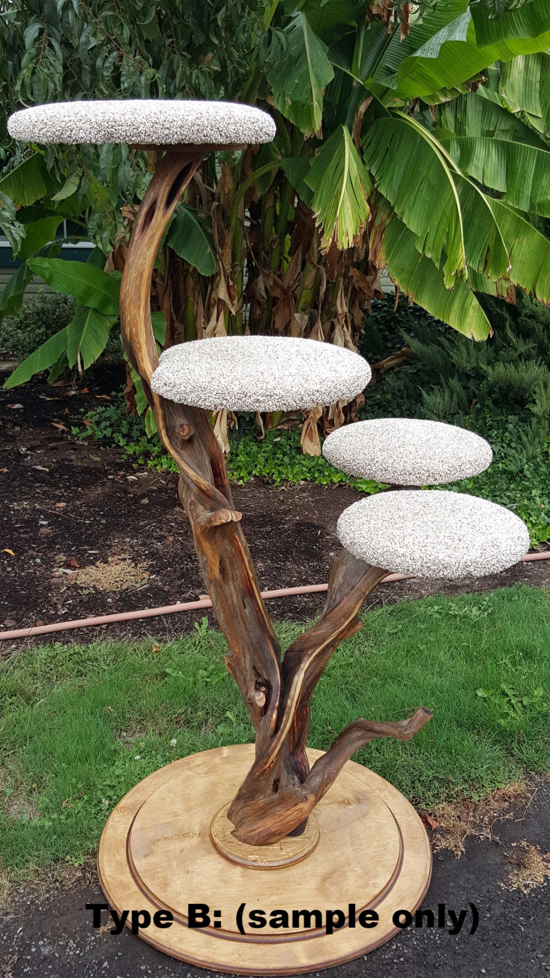 A relevant stock photo of cat tree custom in a typical setting.
