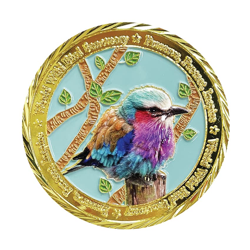 A relevant stock photo of coin custom in a typical setting.