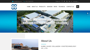 China Collagen Type Ii Manufacturers, Collagen Suppliers, Hydrolyzed ... - collagen manufacturer