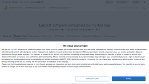 Largest software companies by market cap - software manufacturer