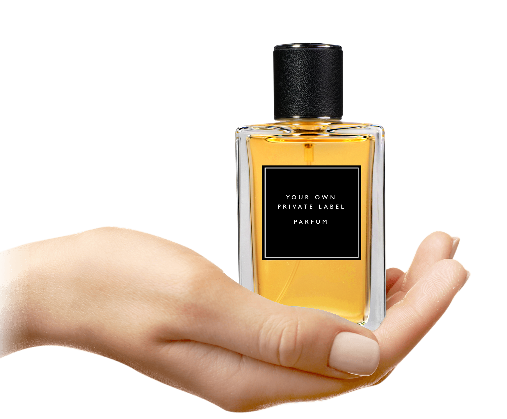 A relevant stock photo of Custom Perfume Manufacturers in a typical setting.