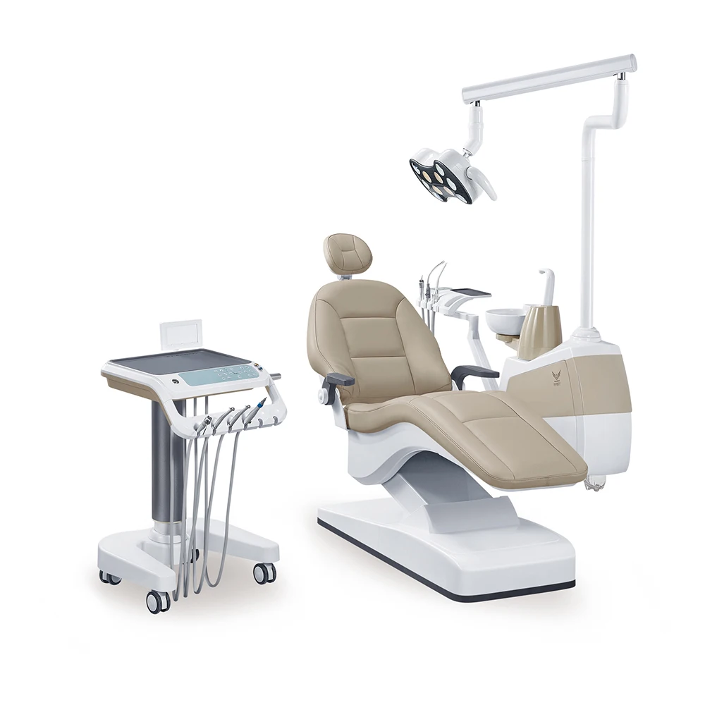 A relevant stock photo of dental chair suppliers in a typical setting.